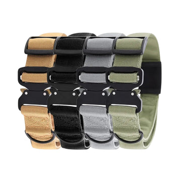 Dog Collar -