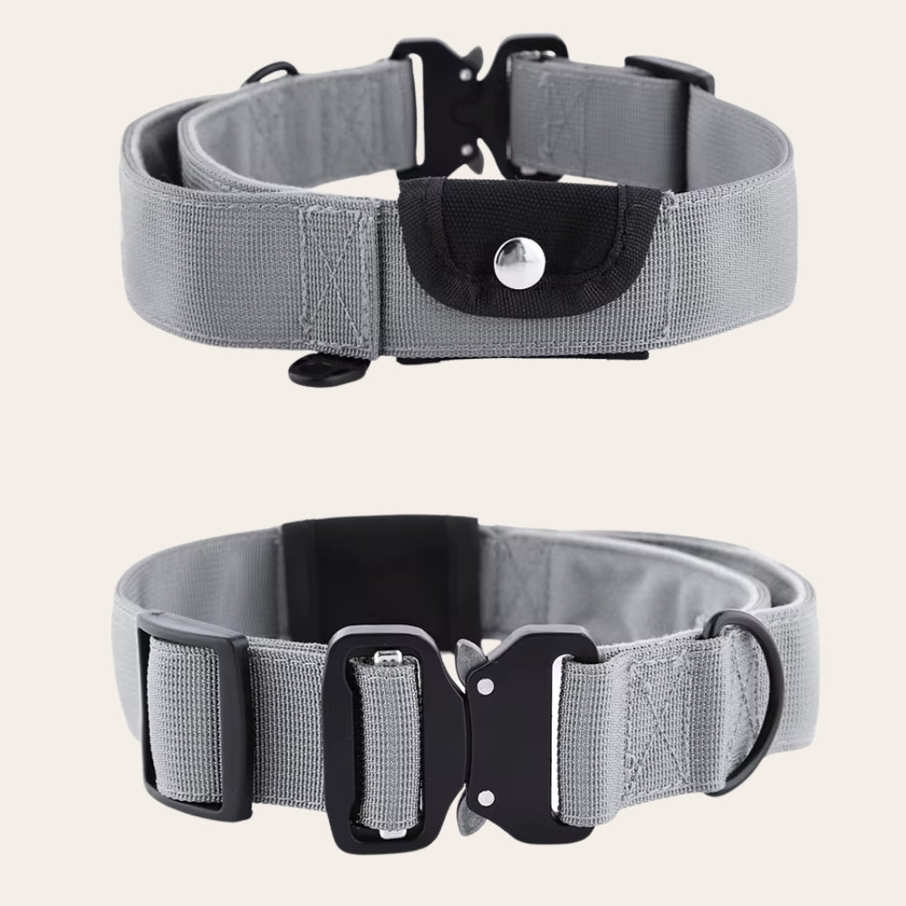 Dog Harness with Matching Collar