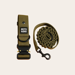 Premium No-Pull Dog Harness & Collar Set